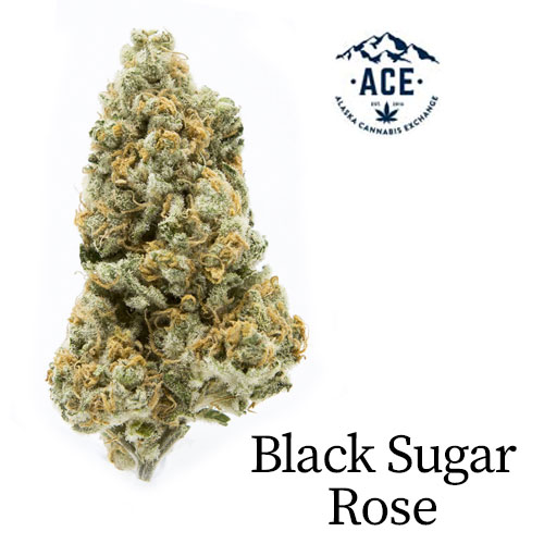 Alaska Cannabis Exchange, Dispensary Near Me, Marijuana Dispensary, Black Sugar Rose