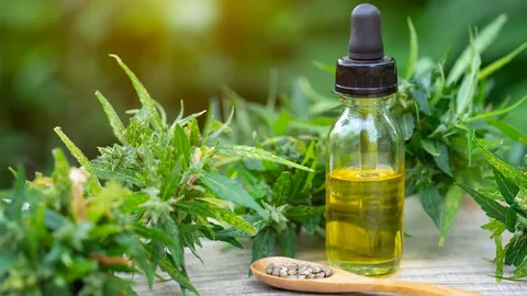 How Long CBD May Shape Sleep