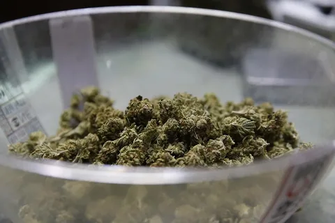 Pack a Bowl