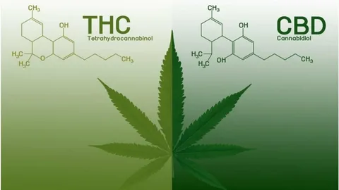 Decarboxylation: Unlock THC and CBD