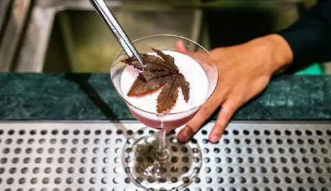 Popular THC Drinks Alcohol Alternative Formats