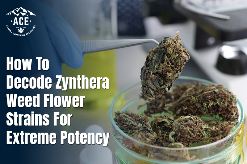 How to Decode Zynthera Weed Flower Strains for Extreme Potency