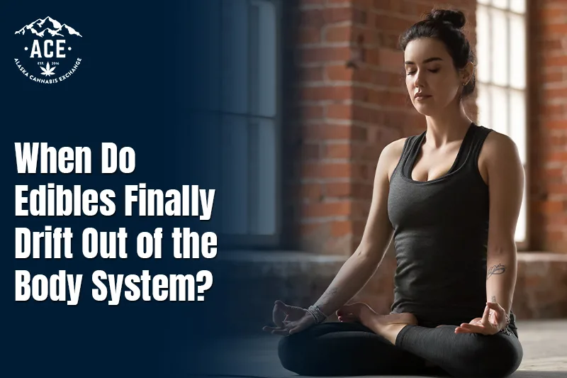 When Do Edibles Finally Drift Out of the Body System?