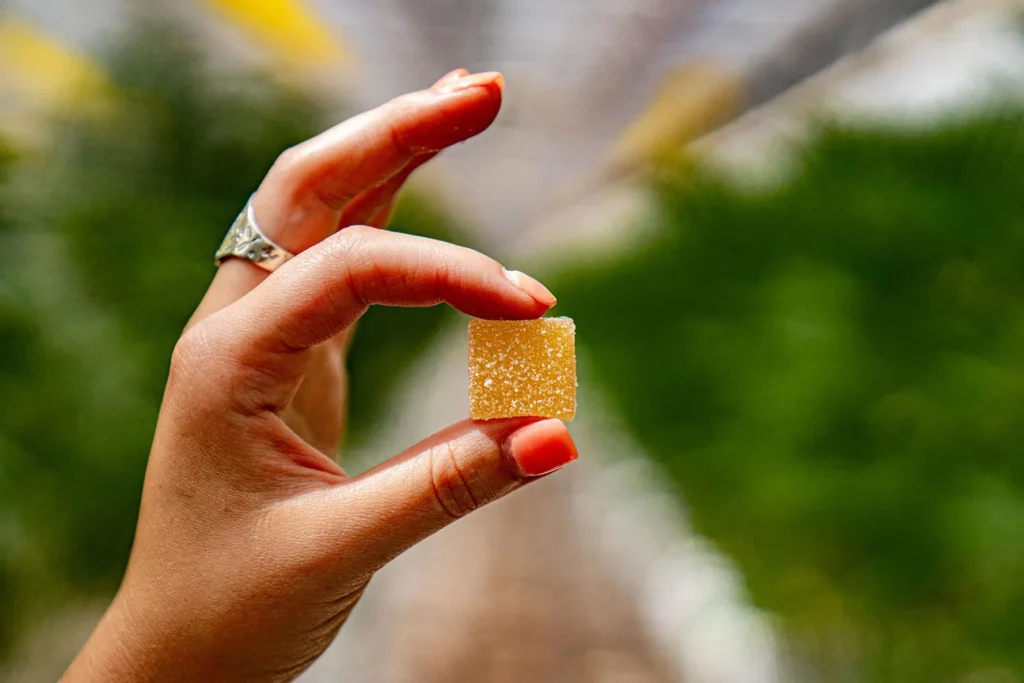 How Edibles Work Inside the Body