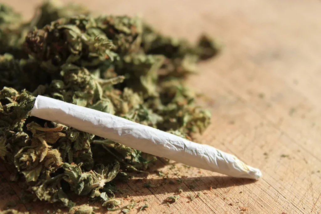 Reasons Behind Rising Marijuana Acceptance in Society
