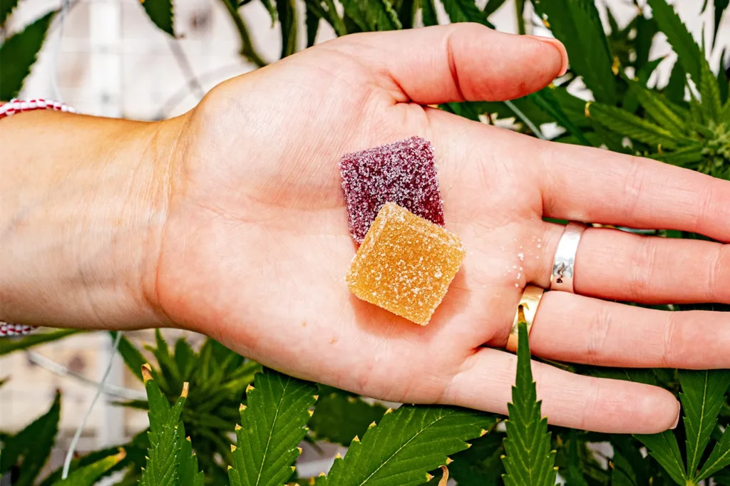 Best Types of Cannabis Edibles for Beginners
