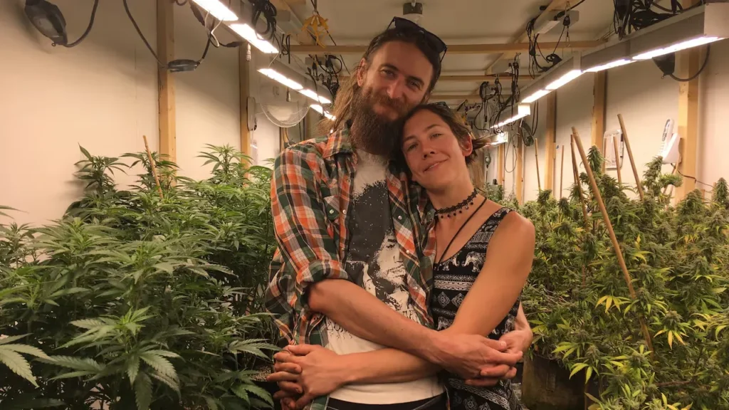 Where to Find Legal Cannabis Stores in Alaska