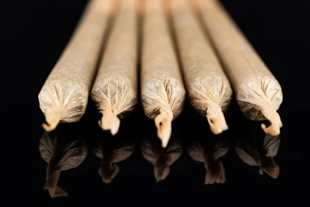 Cannabis Pre-Roll Quality And Aroma Evaluation Guide