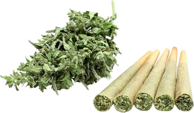 Where To Find Trusted, High-Quality Pre-Rolls Nearby
