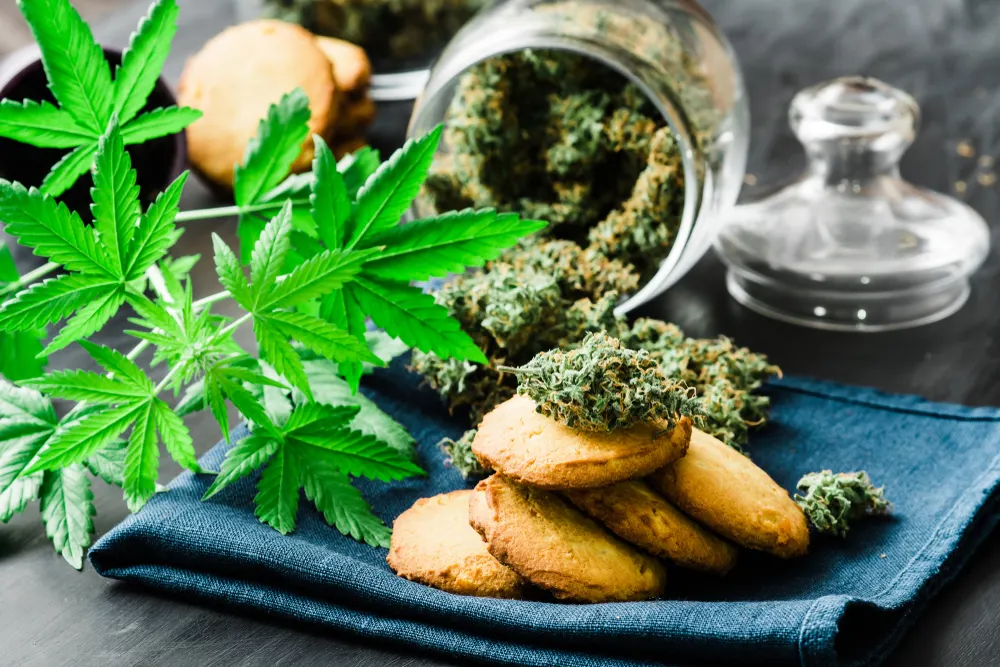Better Timing Prevents Common Edible Mistakes