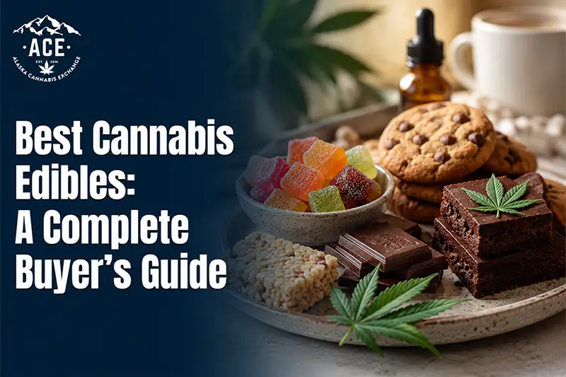 Best Cannabis Edibles: A Complete Buyer's Guide