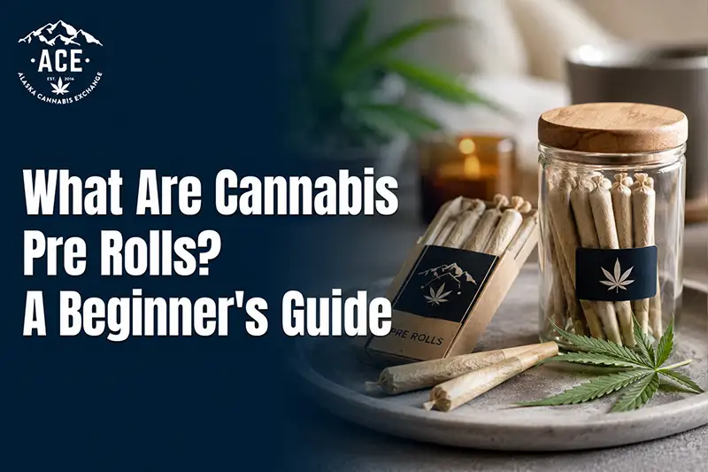 What Are Cannabis Pre-Rolls? A Beginner's Guide