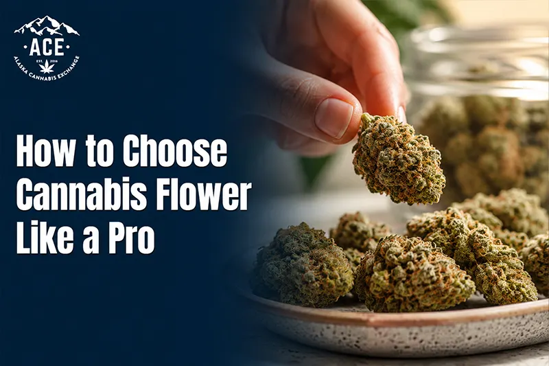 How to Choose Cannabis Flower Like a Pro