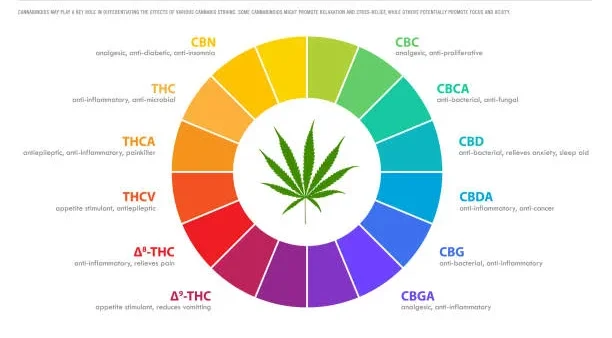 Understanding Full Spectrum, Broad Spectrum, and CBD Isolate