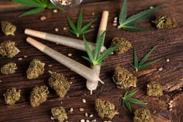 Understanding Why Cannabis Pre-Rolls Are So Popular

