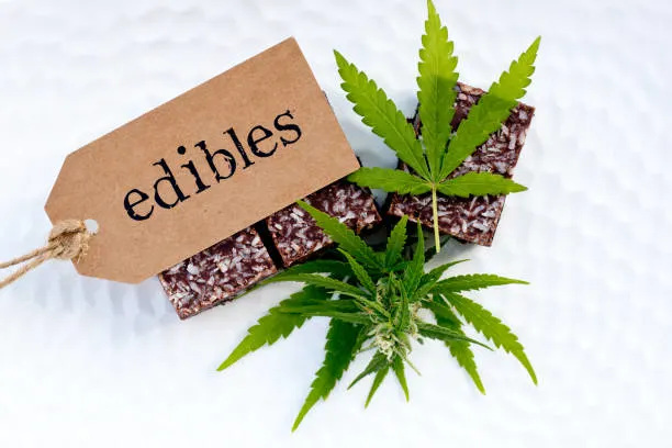 Why CBD Edibles Are Becoming a Preferred Wellness Option
