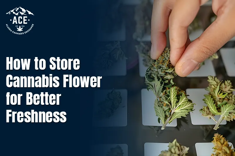 How to Store Cannabis Flower for Better Freshness