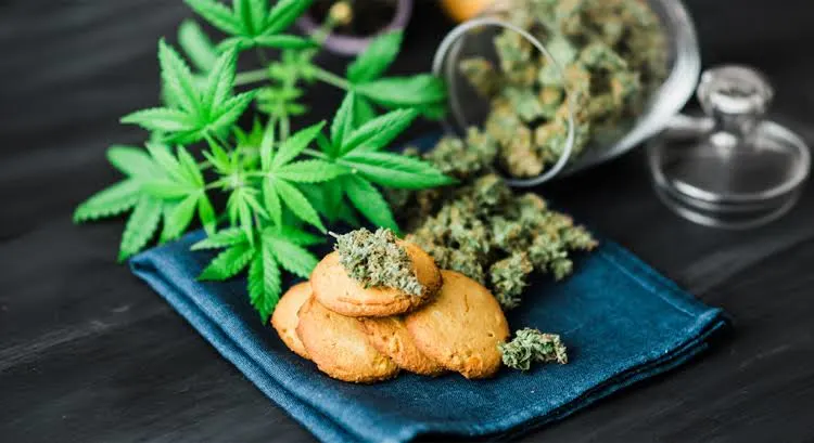 How Cannabis Edibles Should Be Stored for Freshness