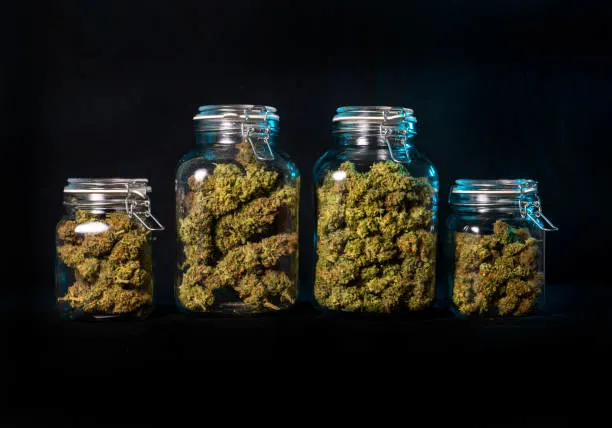 Why Proper Cannabis Flower Storage Matters for Freshness
