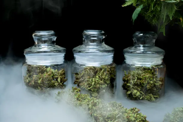 What Makes an Ideal Cannabis Storage Environment
